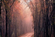 曼联将门票价格提高到了66英镑.