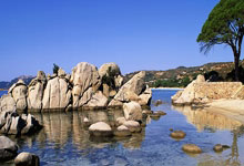 B体育：成人女星：初恋男友让我爱上阿森纳，画人体彩绘看球想让大家记住.